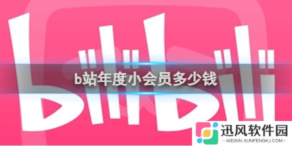 b站年度小会员多少钱 b站年度小会员价格介绍
