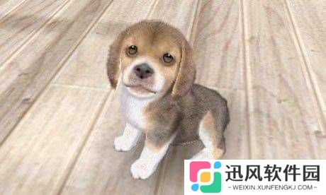 极乐软件园