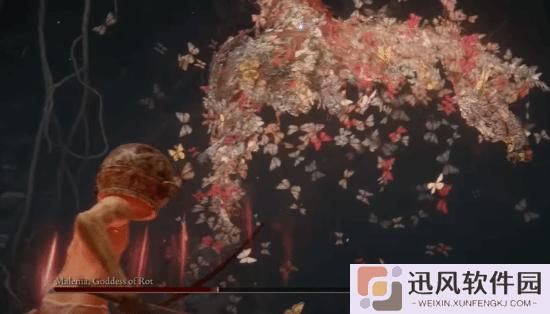 女玩家助人帮打《老头环》：击杀最终Boss破万次！