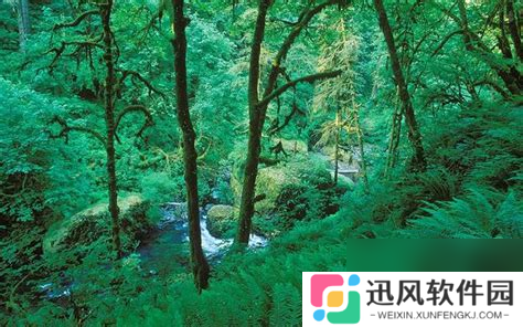 暮光之城森林探秘 暮光之城森系自然风光全攻略