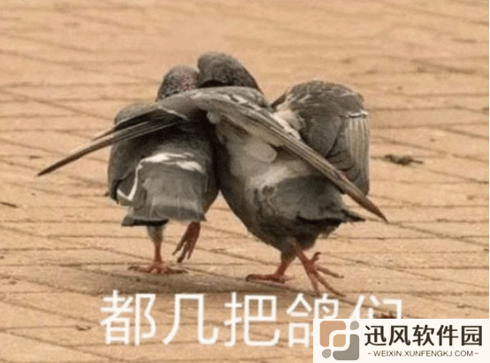 极乐软件园