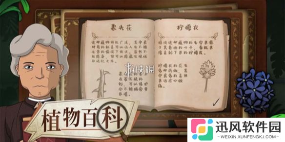 奇异园艺第一天怎么过-奇异园艺第1天攻略