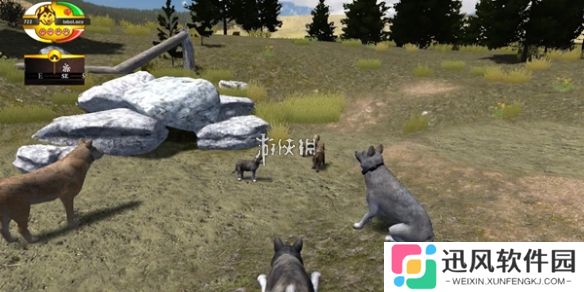 野狼谜踪怎么生小狼-野狼谜踪生小狼方法