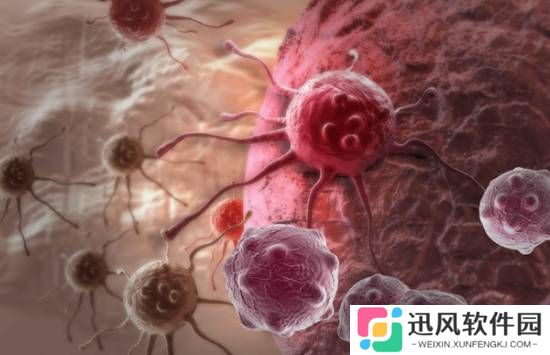 极乐软件园