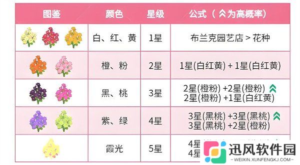 心动小镇春野令霞光迎春花怎么种植 春野令霞光迎春花种植方法