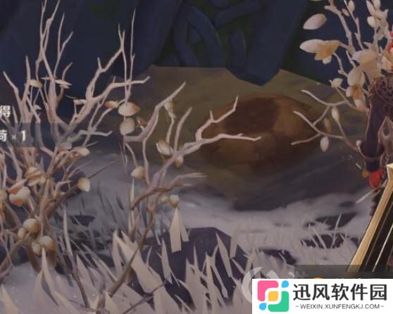 原神雪山迷踪狐狸喂食攻略