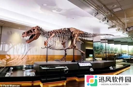 极乐软件园
