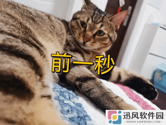 不要羡慕 秒睡其实是一种病：躺下15-30分钟入睡最佳