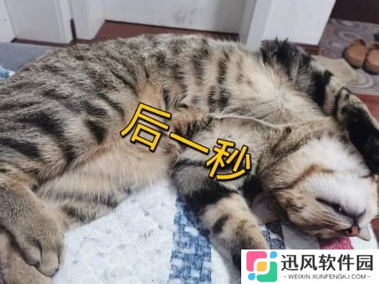 极乐软件园