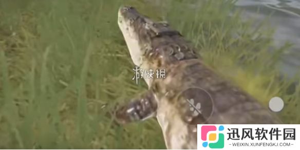 三角洲行动鳄鱼巢穴在哪-三角洲行动鳄鱼巢穴位置