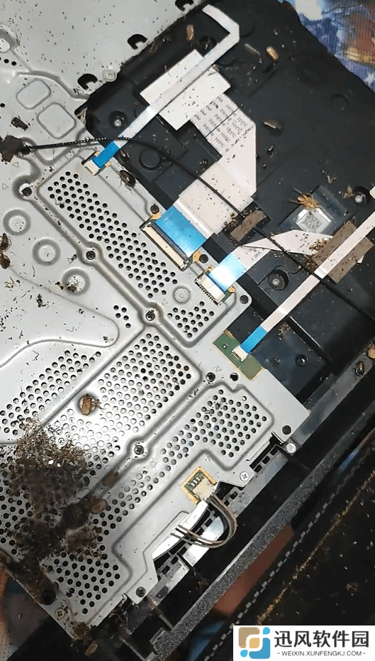 重口慎入！PS4变蟑螂豪宅：网友拆机瞬间上演小强蹦迪