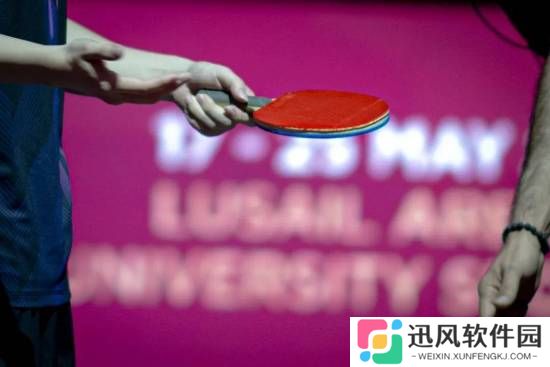 职业球手谈王楚钦球拍再遭意外：或因裁判好奇