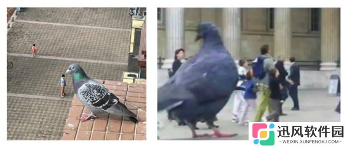 极乐软件园
