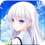 夏日口袋免费版