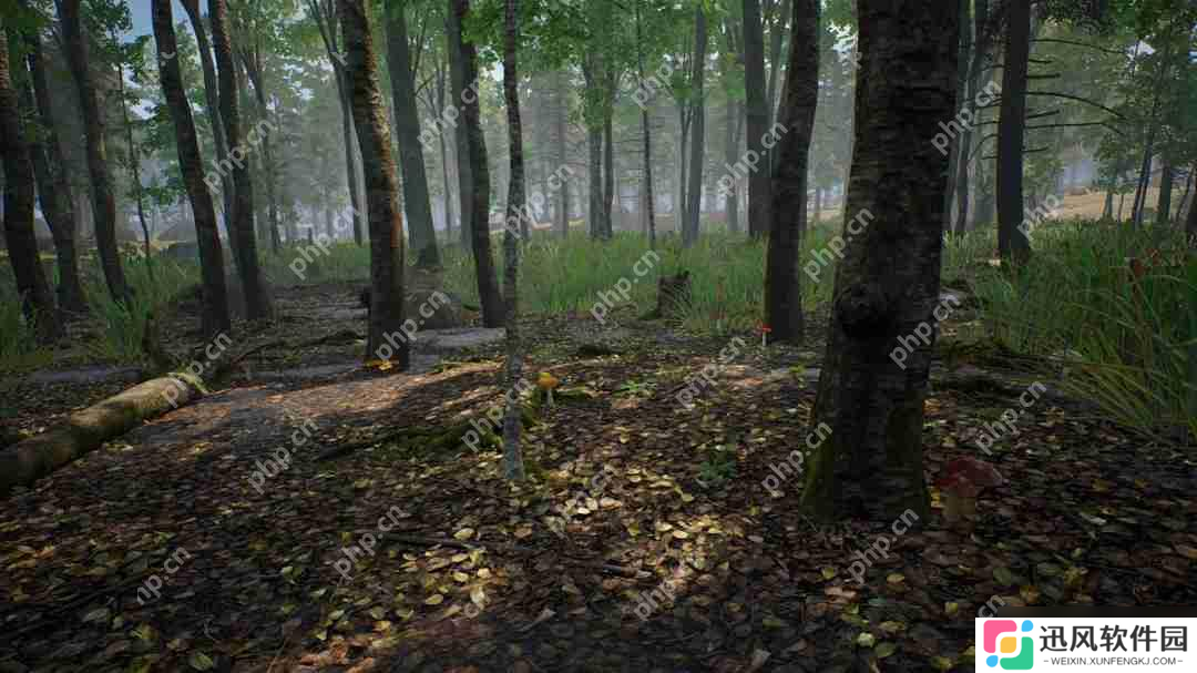 采蘑菇模拟游戏《蘑菇猎人模拟器》上架Steam Q3发售