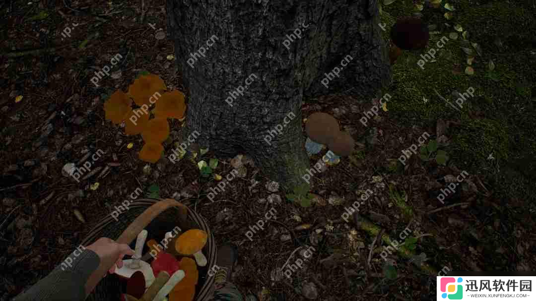 采蘑菇模拟游戏《蘑菇猎人模拟器》上架Steam Q3发售