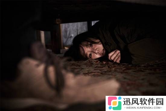 极乐软件园