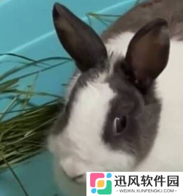 极乐软件园