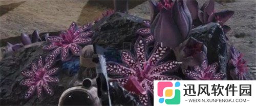 七日世界芽孢争夺怎么玩 芽孢争夺玩法介绍
