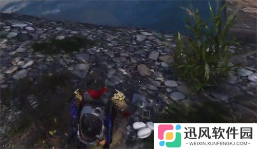 七日世界鳄鱼蛋怎么获取 鳄鱼蛋获取方法