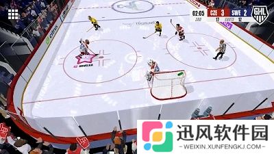 曲棍球冲突