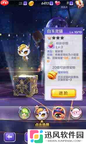 天天酷跑3D白玉灵猫怎么样 白玉灵猫实用性评测[多图]