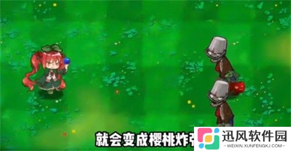 荔枝的植物世界