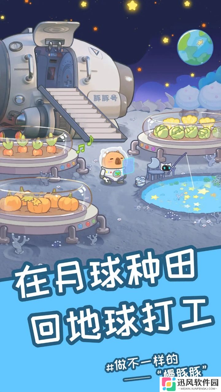 慢豚豚的生活2025最新版