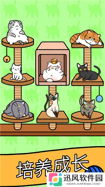小美的宠物店猫猫公寓