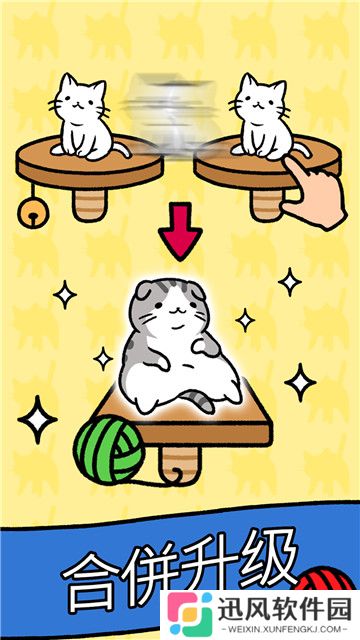 小美的宠物店猫猫公寓