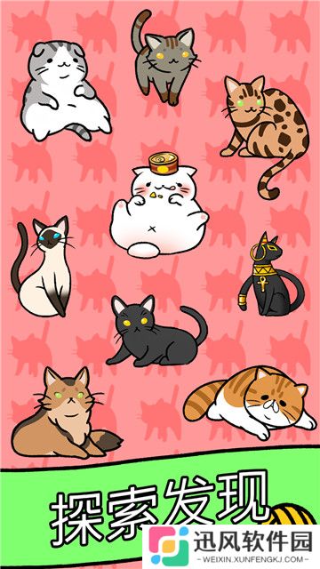小美的宠物店猫猫公寓