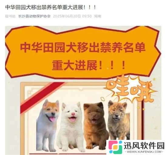 极乐软件园