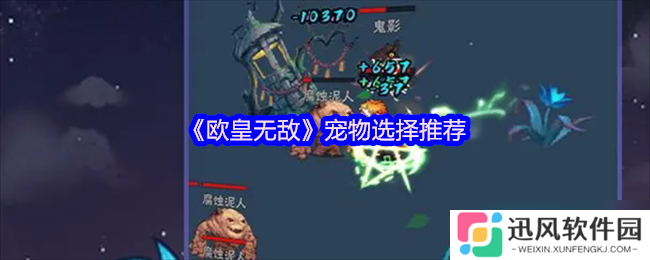 音贝才是王道 欧皇无敌宠物选择终极避坑指南