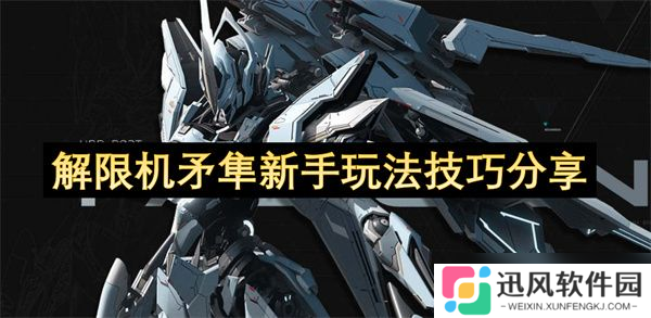 解限机矛隼新手玩法攻略 矛隼作为新手应该怎么玩