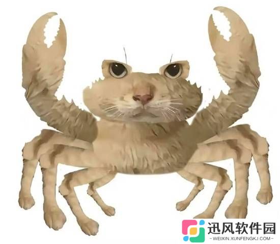 极乐软件园