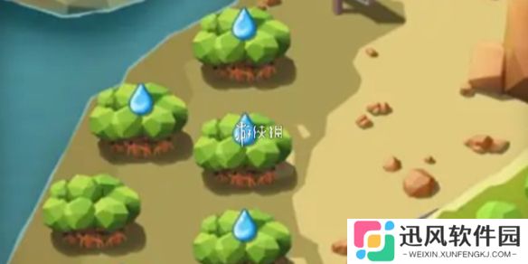 碳碳岛怎么浇水-碳碳岛浇水方法