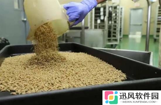 极乐软件园