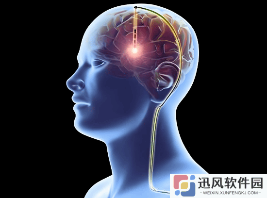 极乐软件园