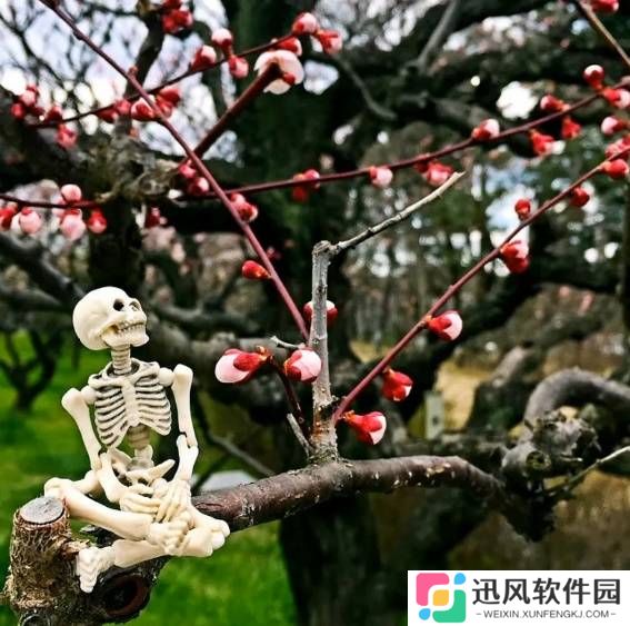 极乐软件园