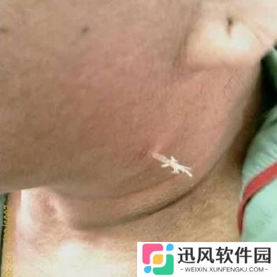 极乐软件园