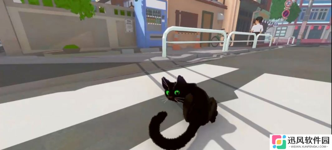 大城小猫手游
