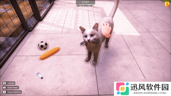 管理经营游戏《动物收容所 2》7月23日在Steam商店正式上架