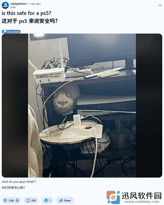 外网热议：萌猫霸座PS5 网友们操碎了心