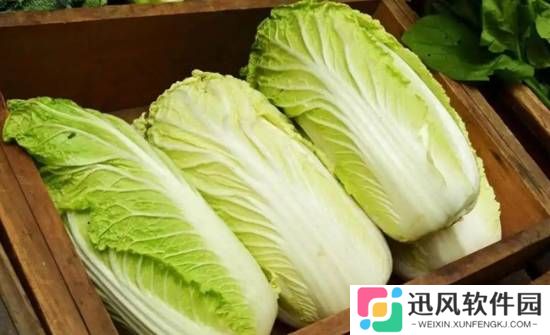 极乐软件园
