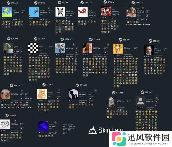 V社员工Steam账号调查 仅19人CS2账号处于活跃状态