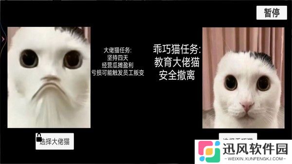 猫猫惊魂夜