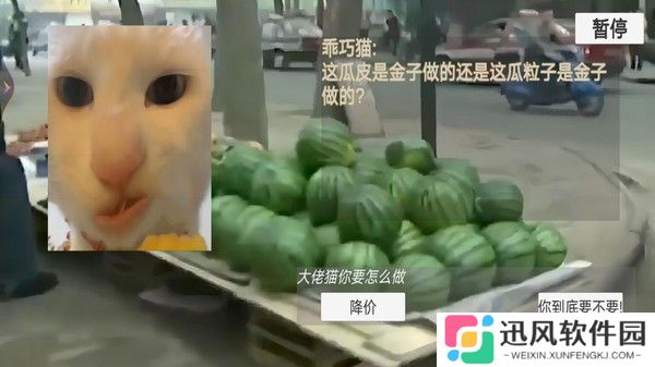 猫猫惊魂夜