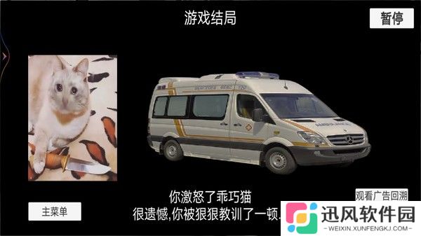 猫猫惊魂夜