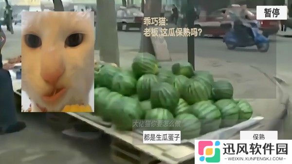 猫猫惊魂夜