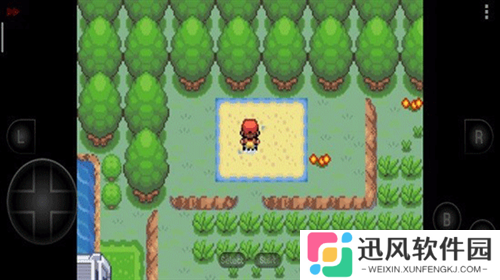 口袋妖怪彼岸花绽放之夜